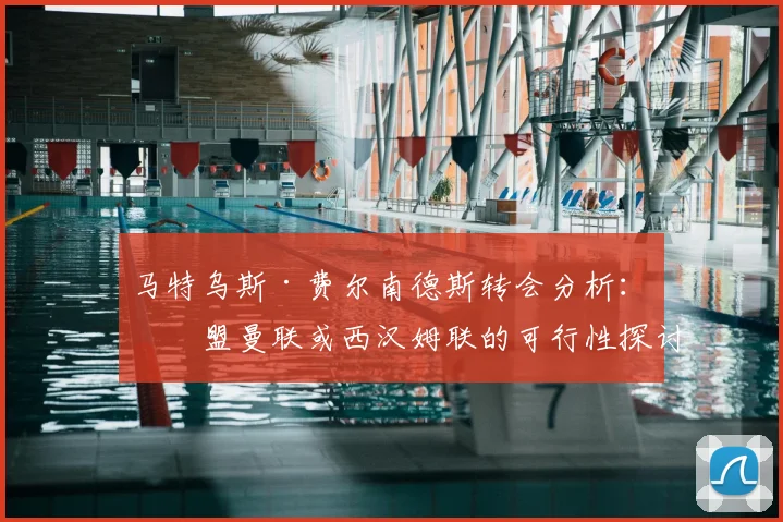 马特乌斯·费尔南德斯转会分析:加盟曼联或西汉姆联的可行性探讨