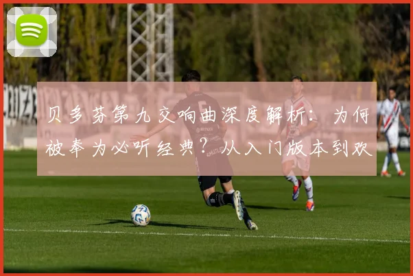 贝多芬第九交响曲深度解析：为何被奉为必听经典？从入门版本到欢乐颂全解读